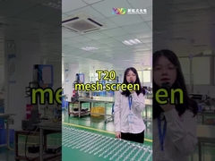 T20-2LEDs Mesh LED Pixel Screen CE RoHS FCC Outdoor Transparent High Brightness